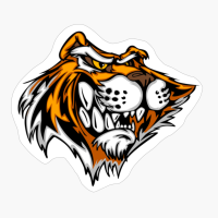 Cartoon Tiger Mascot Head