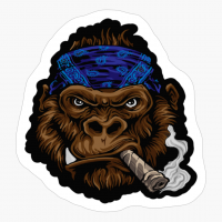 Gorilla Smoke